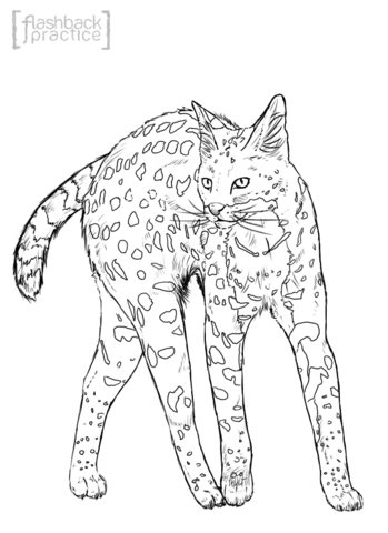 Realistic Serval Coloring Page